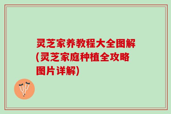 灵芝家养教程大全图解(灵芝家庭种植全攻略图片详解)