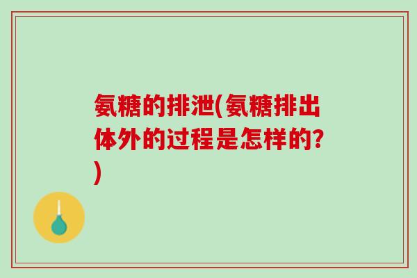 氨糖的排泄(氨糖排出体外的过程是怎样的？)