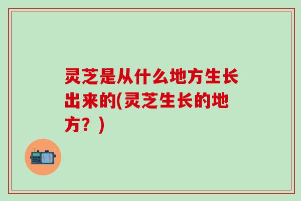 灵芝是从什么地方生长出来的(灵芝生长的地方？)