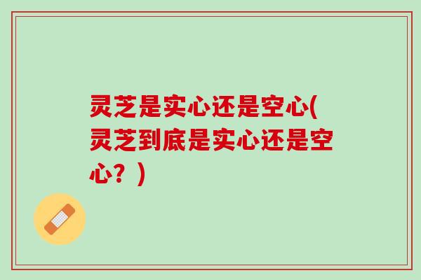 灵芝是实心还是空心(灵芝到底是实心还是空心？)