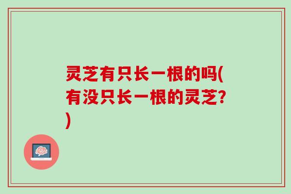灵芝有只长一根的吗(有没只长一根的灵芝？)