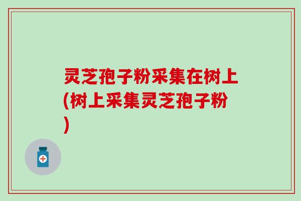 灵芝孢子粉采集在树上(树上采集灵芝孢子粉)