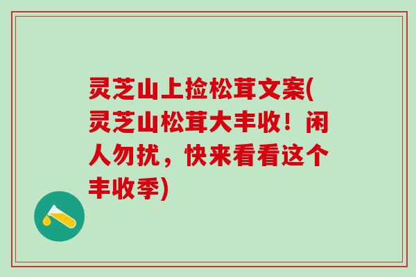灵芝山上捡松茸文案(灵芝山松茸大丰收！闲人勿扰，快来看看这个丰收季)