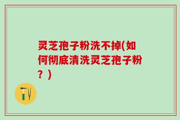 灵芝孢子粉洗不掉(如何彻底清洗灵芝孢子粉？)