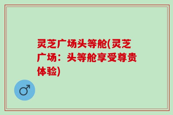 灵芝广场头等舱(灵芝广场：头等舱享受尊贵体验)