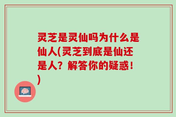 灵芝是灵仙吗为什么是仙人(灵芝到底是仙还是人？解答你的疑惑！)