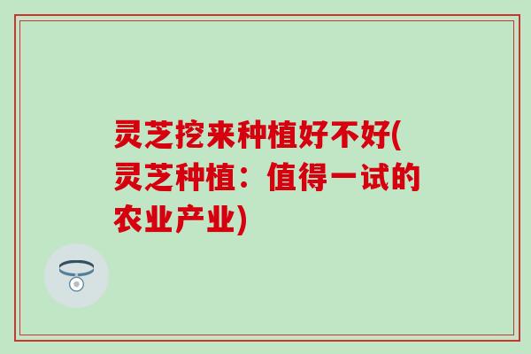 灵芝挖来种植好不好(灵芝种植：值得一试的农业产业)