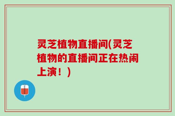 灵芝植物直播间(灵芝植物的直播间正在热闹上演！)