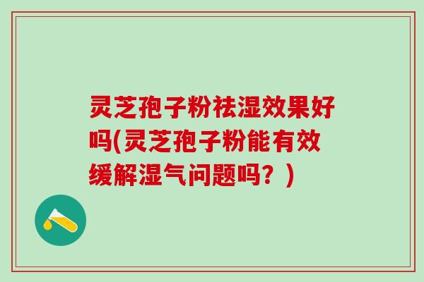 灵芝孢子粉祛湿效果好吗(灵芝孢子粉能有效缓解湿气问题吗？)