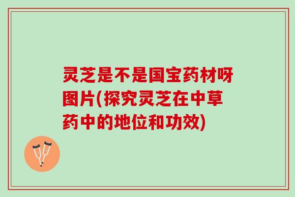 灵芝是不是国宝药材呀图片(探究灵芝在中草药中的地位和功效)