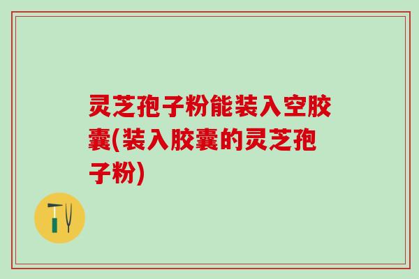 灵芝孢子粉能装入空胶囊(装入胶囊的灵芝孢子粉)