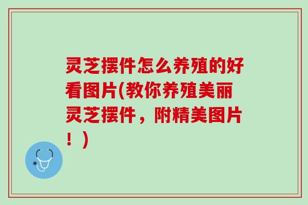 灵芝摆件怎么养殖的好看图片(教你养殖美丽灵芝摆件，附精美图片！)
