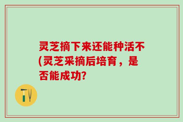灵芝摘下来还能种活不(灵芝采摘后培育，是否能成功？