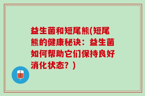 益生菌和短尾熊(短尾熊的健康秘诀：益生菌如何帮助它们保持良好消化状态？)