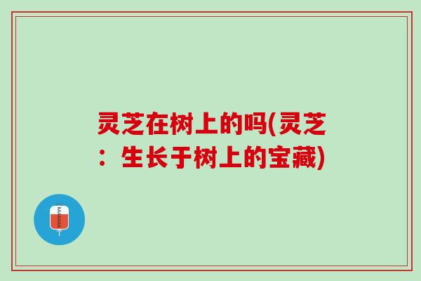 灵芝在树上的吗(灵芝：生长于树上的宝藏)