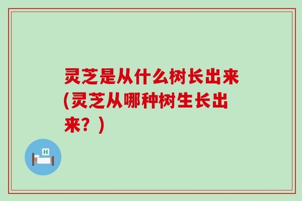 灵芝是从什么树长出来(灵芝从哪种树生长出来？)