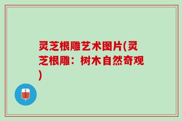 灵芝根雕艺术图片(灵芝根雕：树木自然奇观)