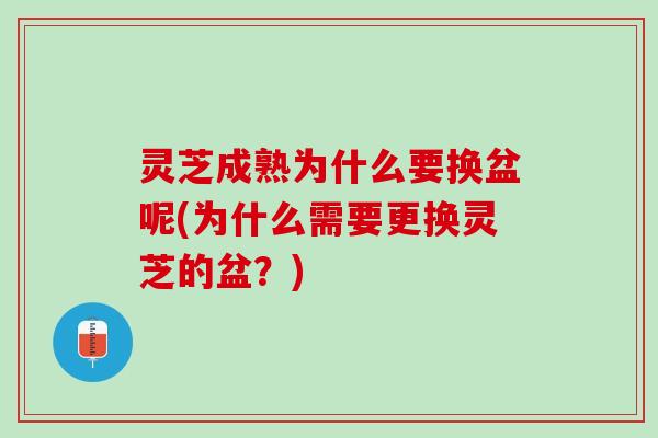 灵芝成熟为什么要换盆呢(为什么需要更换灵芝的盆？)