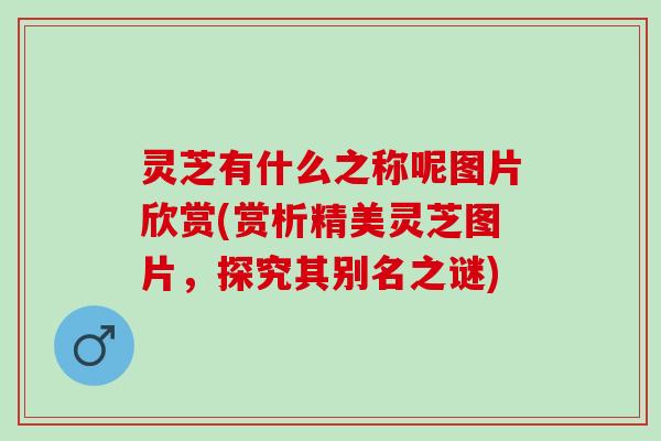 灵芝有什么之称呢图片欣赏(赏析精美灵芝图片，探究其别名之谜)