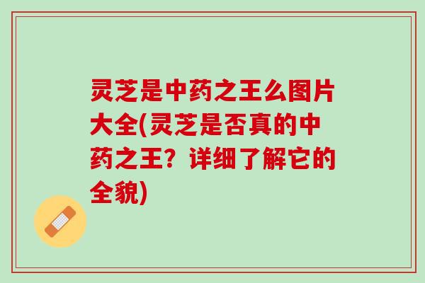 灵芝是中药之王么图片大全(灵芝是否真的中药之王？详细了解它的全貌)