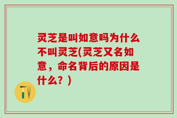 灵芝是叫如意吗为什么不叫灵芝(灵芝又名如意，命名背后的原因是什么？)