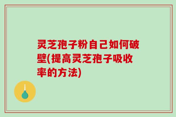 灵芝孢子粉自己如何破壁(提高灵芝孢子吸收率的方法)