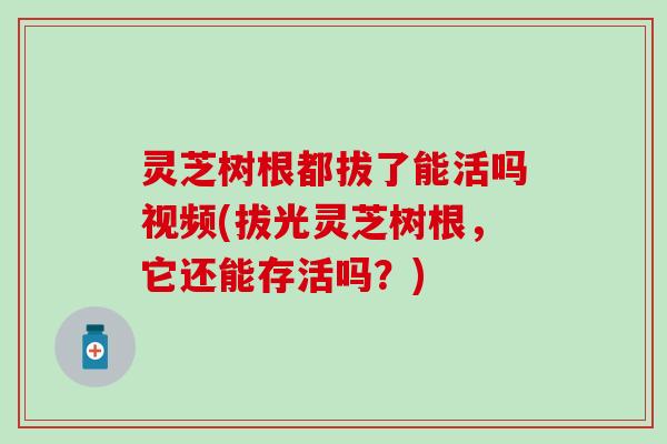 灵芝树根都拔了能活吗视频(拔光灵芝树根，它还能存活吗？)