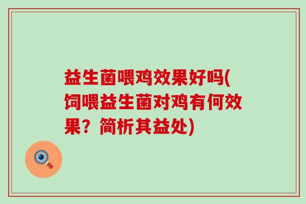 益生菌喂鸡效果好吗(饲喂益生菌对鸡有何效果？简析其益处)