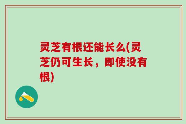 灵芝有根还能长么(灵芝仍可生长，即使没有根)