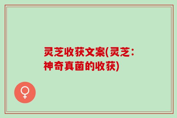 灵芝收获文案(灵芝：神奇真菌的收获)