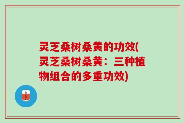 灵芝桑树桑黄的功效(灵芝桑树桑黄：三种植物组合的多重功效)