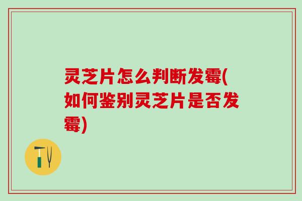 灵芝片怎么判断发霉(如何鉴别灵芝片是否发霉)