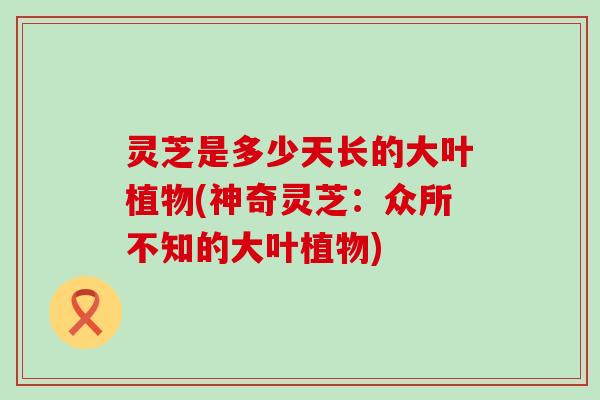 灵芝是多少天长的大叶植物(神奇灵芝：众所不知的大叶植物)
