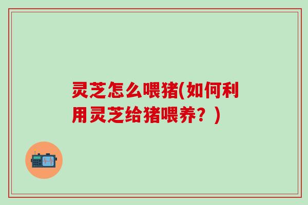 灵芝怎么喂猪(如何利用灵芝给猪喂养？)