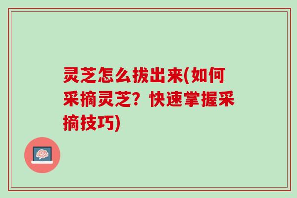 灵芝怎么拔出来(如何采摘灵芝？快速掌握采摘技巧)