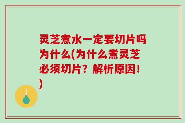 灵芝煮水一定要切片吗为什么(为什么煮灵芝必须切片？解析原因！)