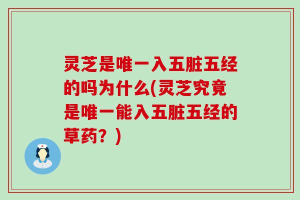 灵芝是唯一入五脏五经的吗为什么(灵芝究竟是唯一能入五脏五经的草药？)