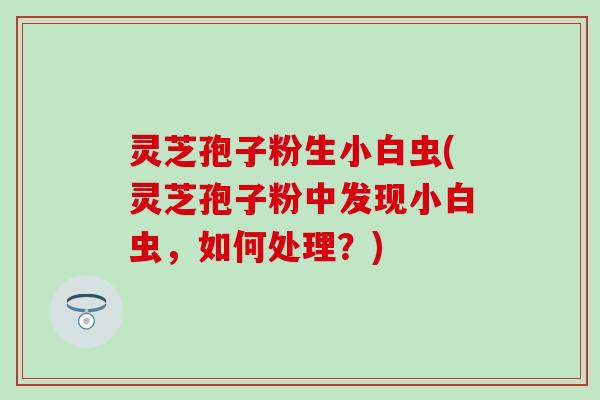 灵芝孢子粉生小白虫(灵芝孢子粉中发现小白虫，如何处理？)