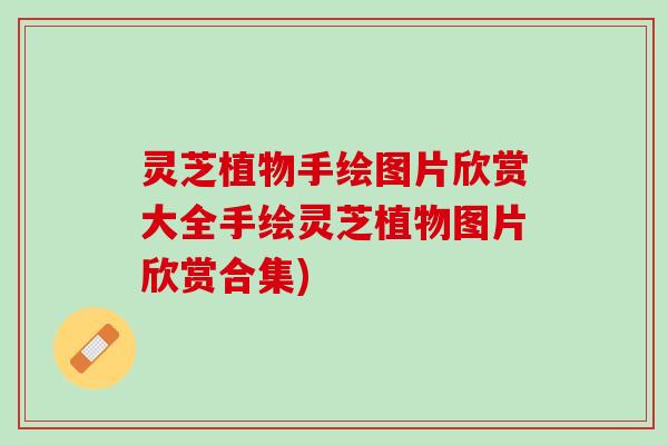 灵芝植物手绘图片欣赏大全手绘灵芝植物图片欣赏合集)