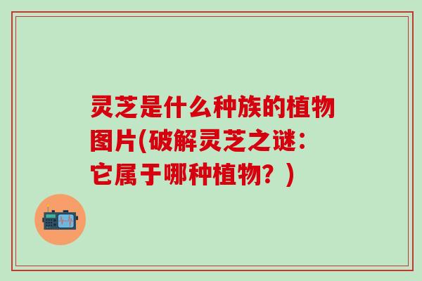 灵芝是什么种族的植物图片(破解灵芝之谜：它属于哪种植物？)