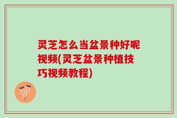 灵芝怎么当盆景种好呢视频(灵芝盆景种植技巧视频教程)