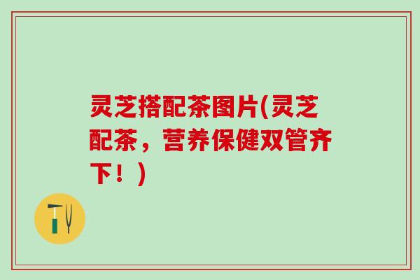 灵芝搭配茶图片(灵芝配茶，营养保健双管齐下！)
