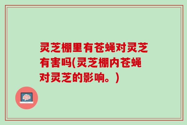灵芝棚里有苍蝇对灵芝有害吗(灵芝棚内苍蝇对灵芝的影响。)
