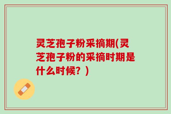灵芝孢子粉采摘期(灵芝孢子粉的采摘时期是什么时候？)