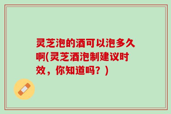 灵芝泡的酒可以泡多久啊(灵芝酒泡制建议时效，你知道吗？)