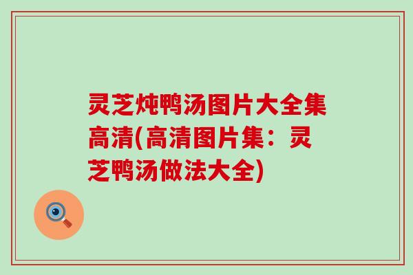 灵芝炖鸭汤图片大全集高清(高清图片集：灵芝鸭汤做法大全)