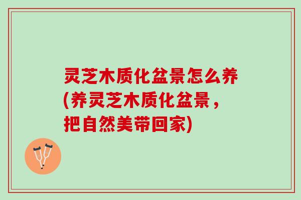 灵芝木质化盆景怎么养(养灵芝木质化盆景，把自然美带回家)