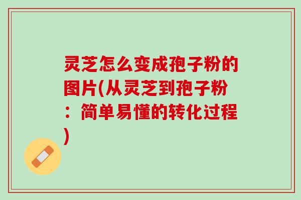 灵芝怎么变成孢子粉的图片(从灵芝到孢子粉：简单易懂的转化过程)