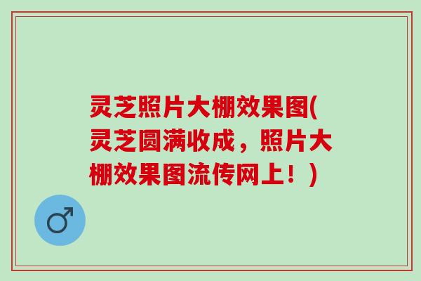 灵芝照片大棚效果图(灵芝圆满收成，照片大棚效果图流传网上！)