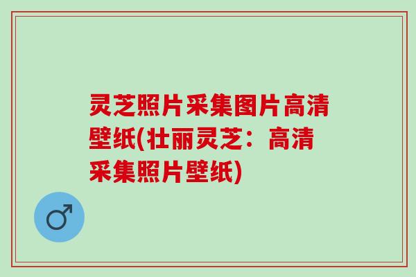 灵芝照片采集图片高清壁纸(壮丽灵芝：高清采集照片壁纸)